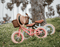 Balance Bike